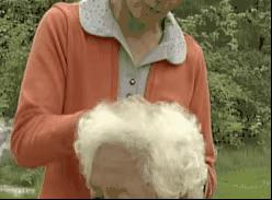 撞树、火疗、喝尿....谁是土法养生界的霸主？