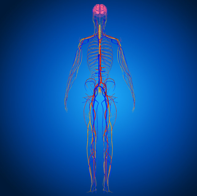 中医治疗血管斑块的最快消除方法,体检发现颈部血管有斑块怎样办