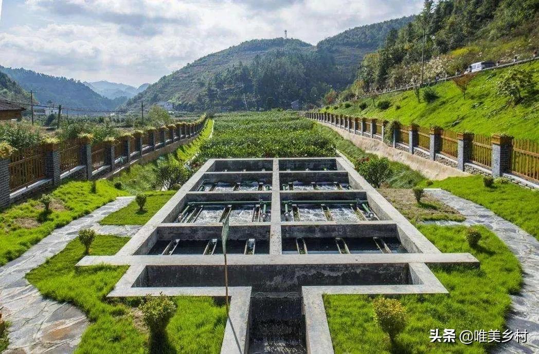 生态循环农业有扶持吗,农业生态系统的利与弊