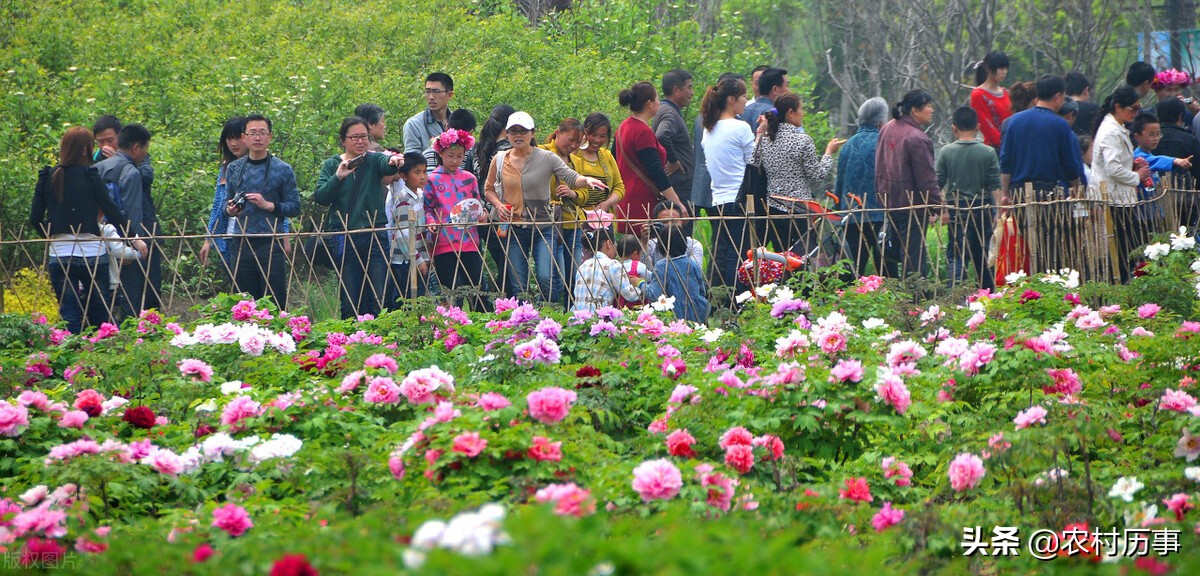 山东正在崛起的城市是菏泽吗,山东最不发达的几个县区