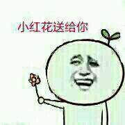 向女生表白表情包图片,向女神表白的表情包