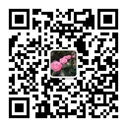 超级灵验的心理学图片：测试你最近运势如何？