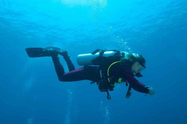 船宿去哪里体验感最好,想去邮轮旅游需要提前确定什么