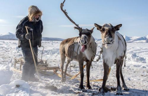 真实的俄罗斯图片,最霸气的俄罗斯图片