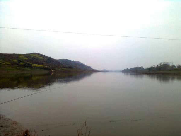 白鲫是白甲鲫鱼吗,白鲫钓大鲫鱼视频