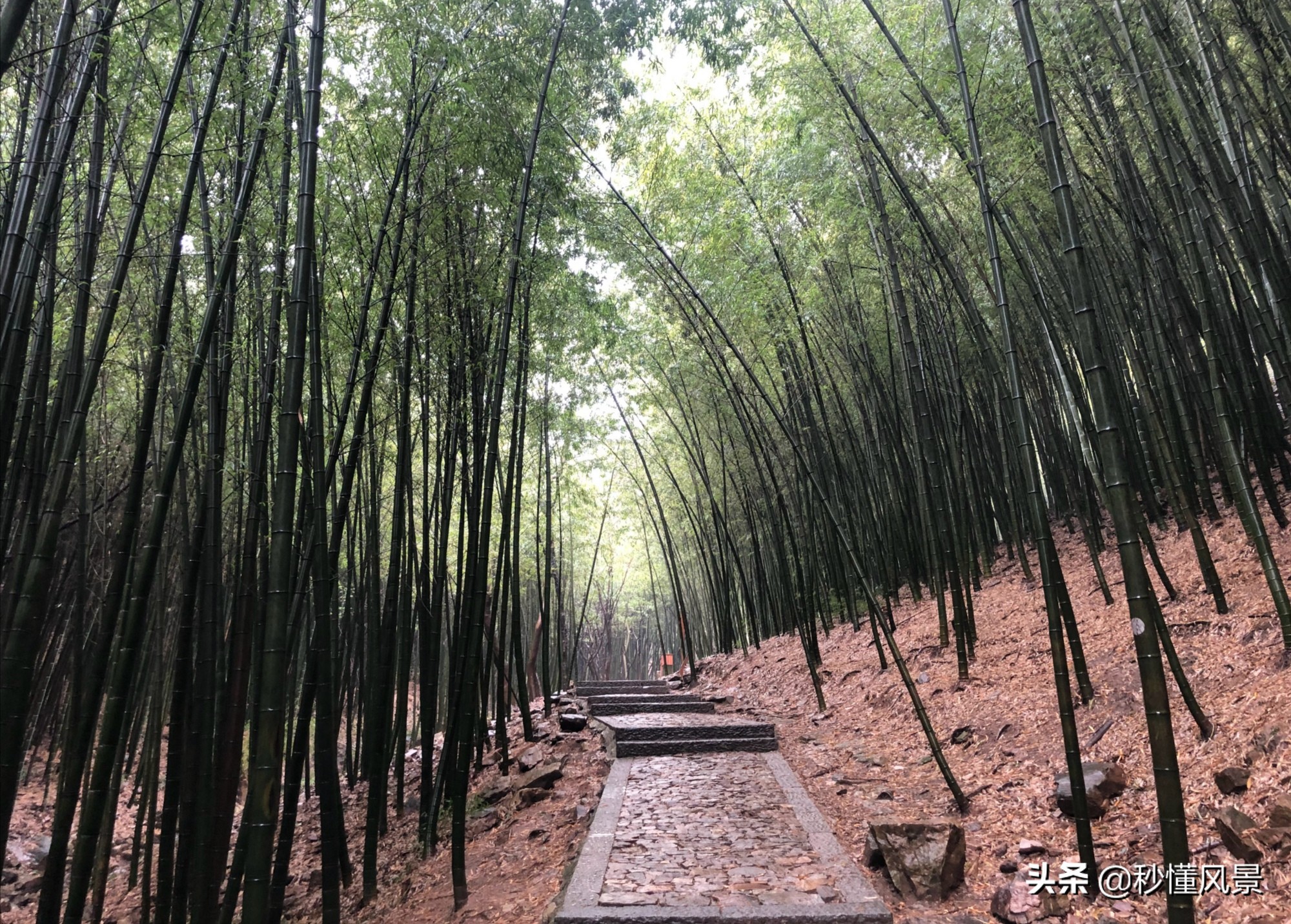 苏州避暑景点排名前十,苏州避暑旅游景点