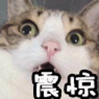 即墨服装批发市场99元3件,即墨区千元服饰