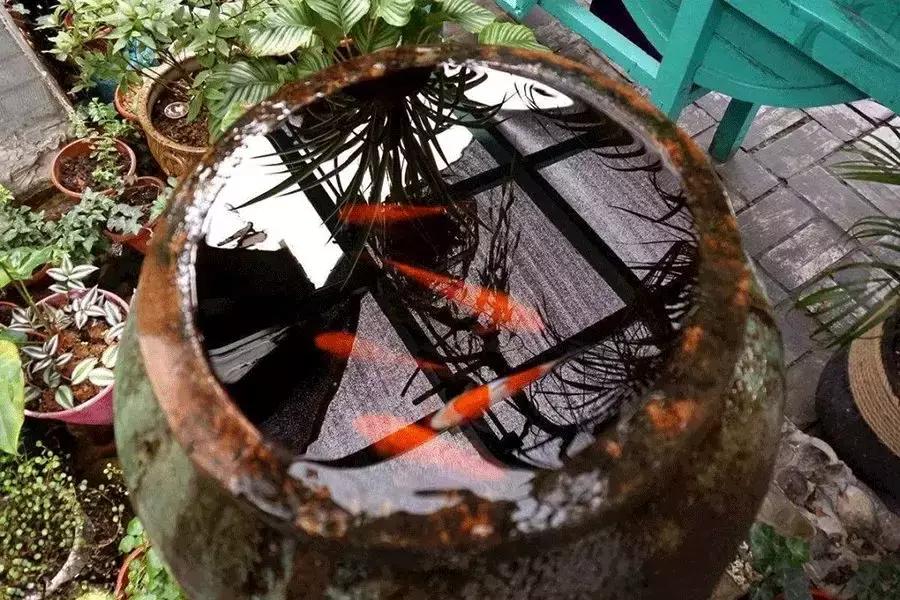 门海，中国人的福海