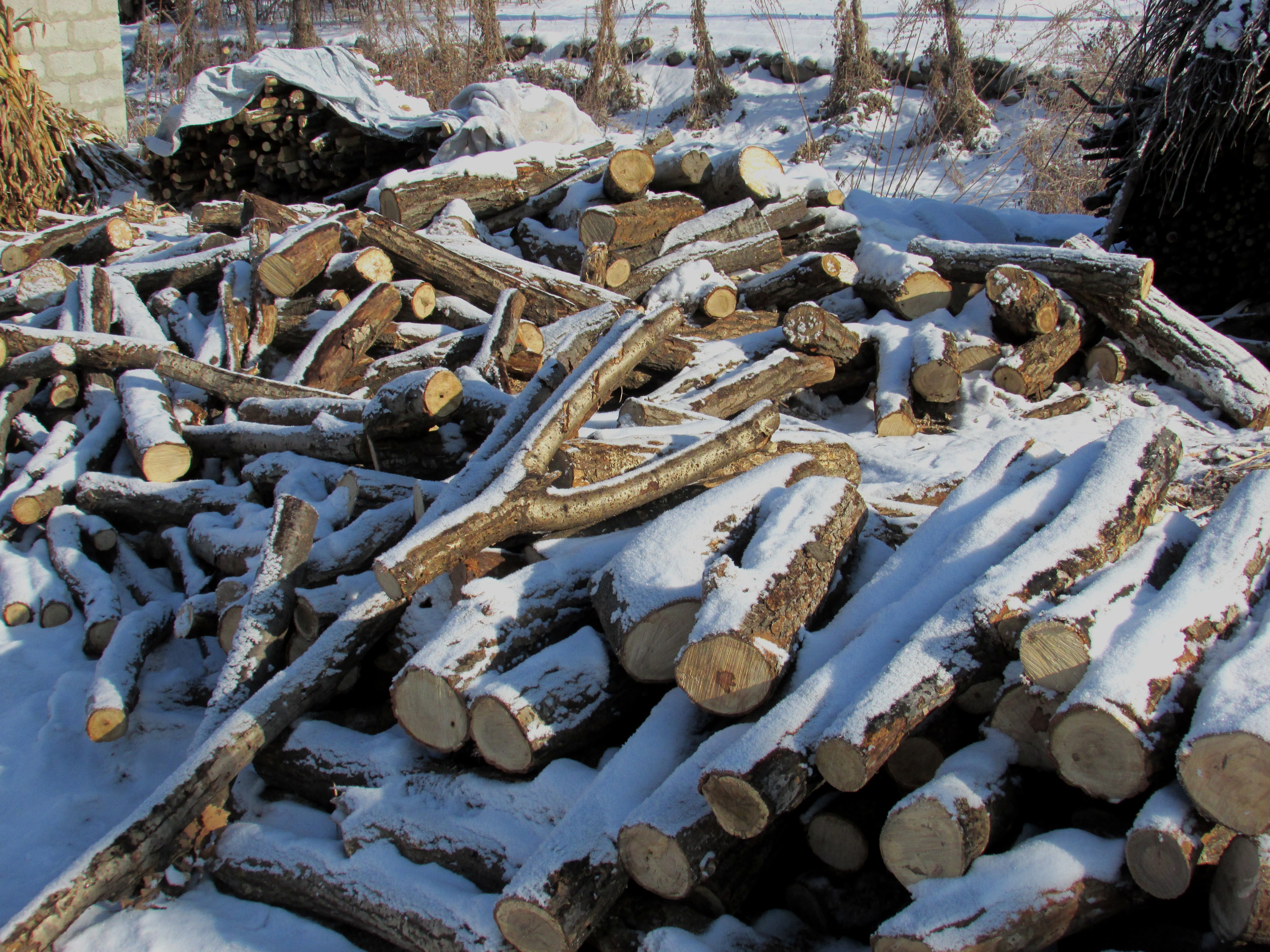 本溪湖里村冬季景色,本溪湖里村景色视频