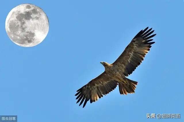 英语时态8种基本时态讲解,英语16种时态完整版句式结构