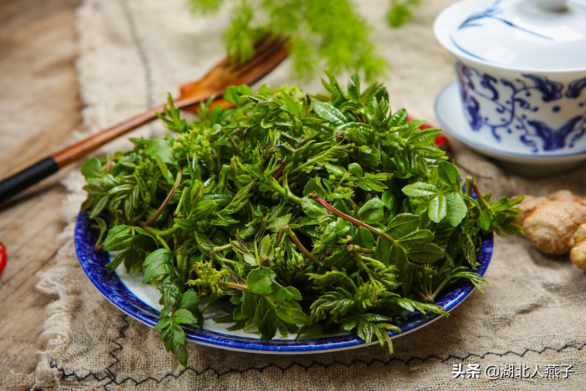 常见野菜的种类和图片大全 (各种野菜大全带图片)