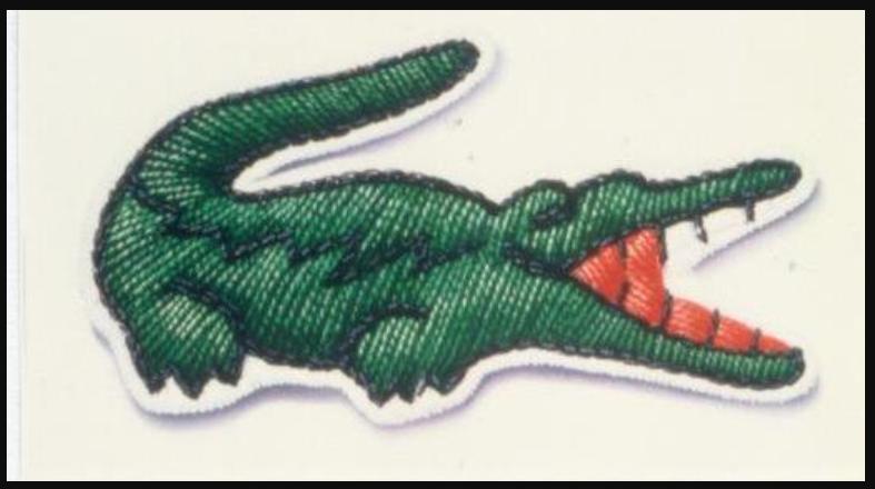 鳄鱼的狂野撕咬,鳄鱼的撕咬力