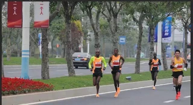 新年元旦迎接活动,新年新气象迎接新的一天