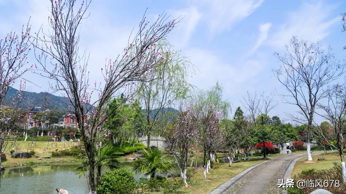 杭州丁桥千桃园,杭州皋亭山千桃园