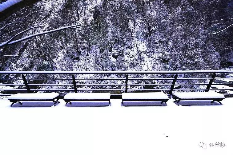 西安金丝峡雪景,陕西金丝峡冬天