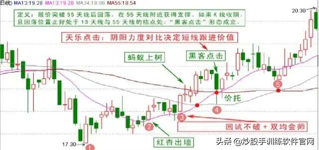 像乌龟一样趴着炒股,像麻雀一样的股票