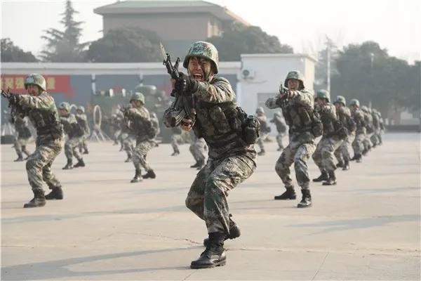 义务兵提前转军士需要政审吗,义务兵提前转军士