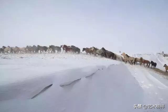 摄影家张明友：把“蒙古马精神”传播到全世界