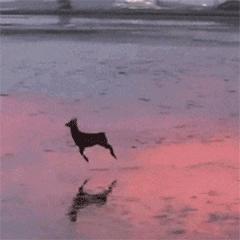 自由撰稿人怎么赚钱,独立撰稿人怎么挣钱