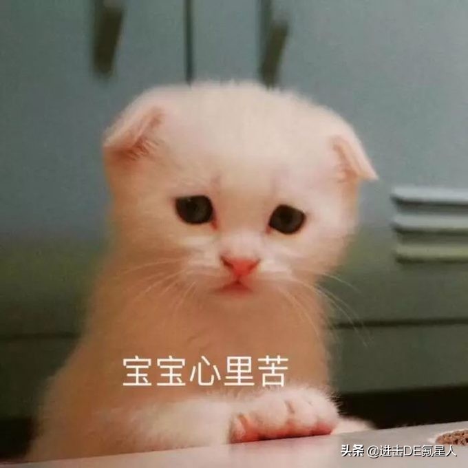 这10款小众纯牛奶，国货之光，我赌100包辣条，第一款你就没喝过