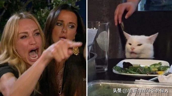 来自“MEME”的欢乐“洗礼”