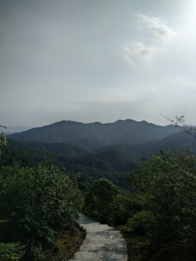 杭州西湖茶山游玩攻略,杭州西湖边游玩