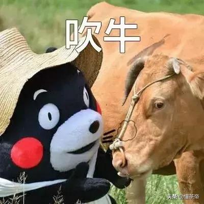 怎么辨别东方美人 (怎么分辨东方美人的好坏)