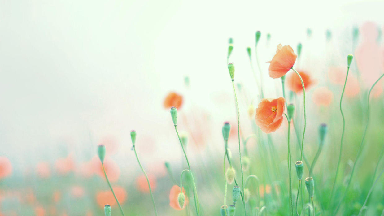 我要做你一生最爱的人,要成为你最爱的人女生版