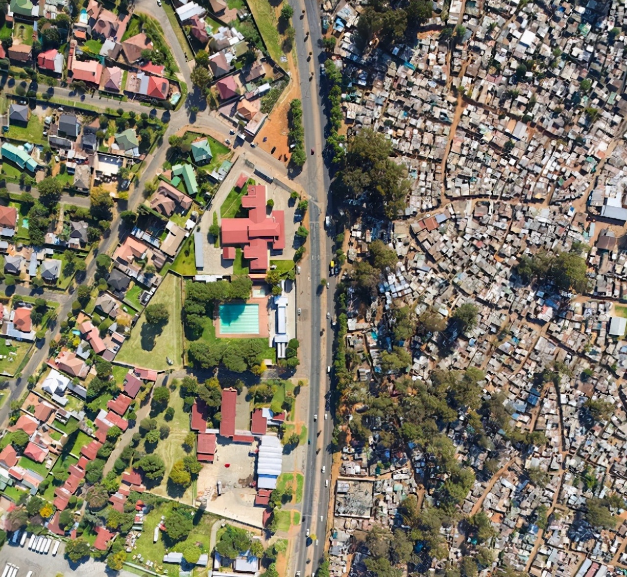 盘点被电鳗电死的人,鳄鱼咬住电鳗当场死亡