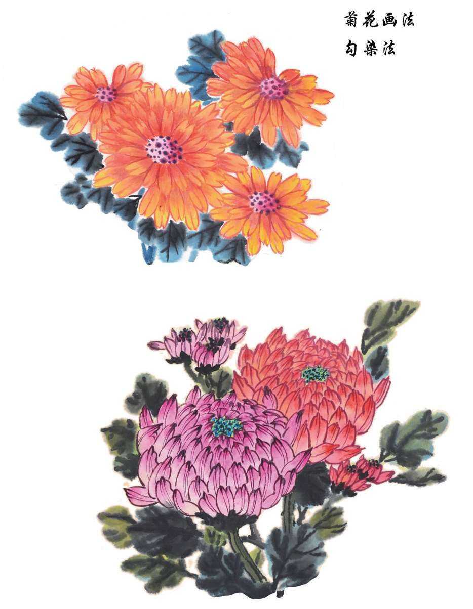 梅兰竹菊国画菊花初学者怎么用笔,国画菊花的画法和技巧