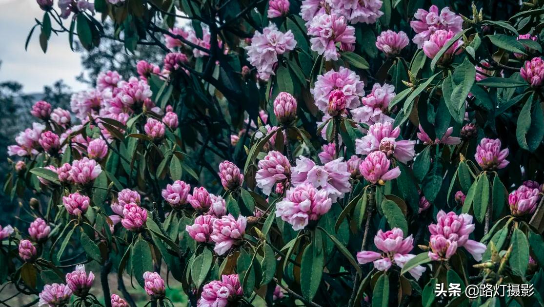 五一小长假绝美旅行地,五一小长假2-3天短途旅游推荐