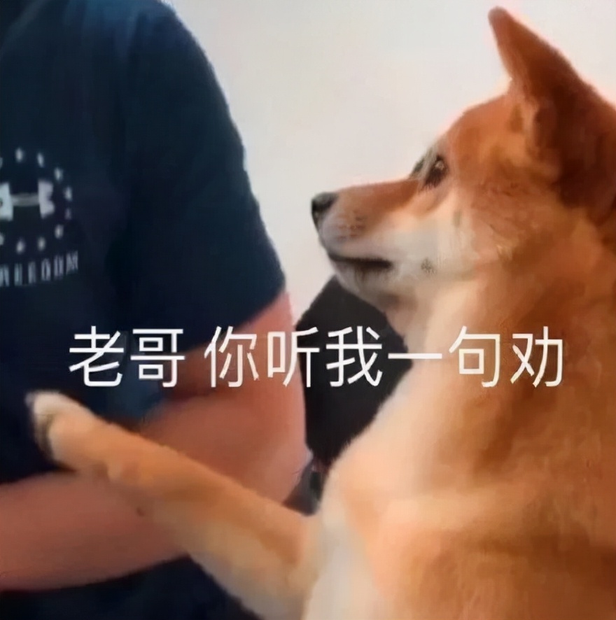 贴吧是什么时候开始有的,贴吧从什么时候开始衰退