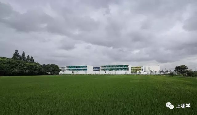 上海最好的十大民办初中,上海各区的顶级初中和一流初中