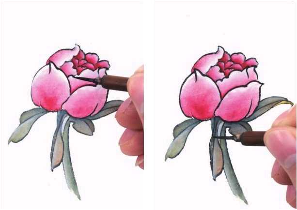 工笔画染染的正确方法,工笔画的分染步骤与技巧知识