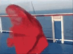 成都主城区停电吗,2018年11月28日成都城区停电范围