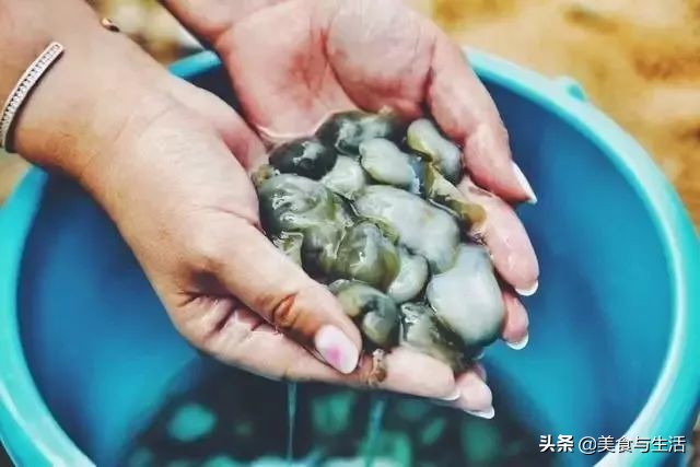 大连海鲜最便宜市场,大连海鲜最便宜的市场