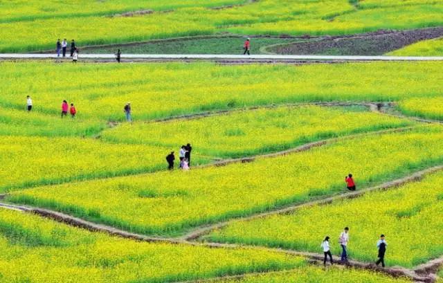 清明节雨纷纷追思故人,清明时节雨纷纷悼念故人