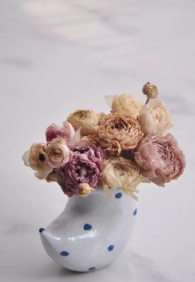 鲜花和干花的不同美感,有哪些花可以制作干花