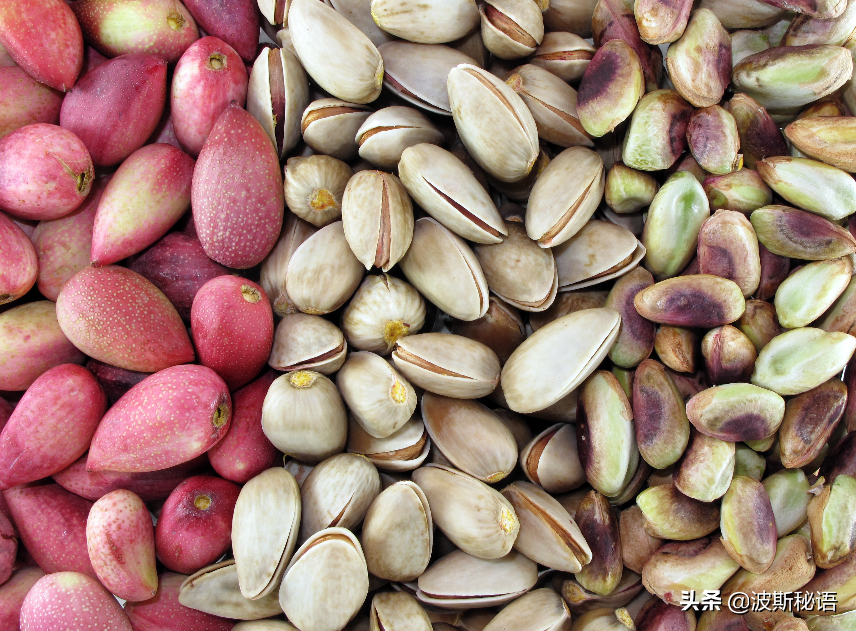 伊朗开心果质量怎么样,伊朗开心果