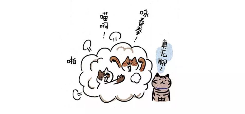 猫咪绝育后性格会改变吗,猫咪什么时候做绝育最好