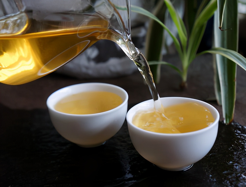 老班章、冰岛、易武三大茶系中，老茶客为何喜欢收藏易武茶？