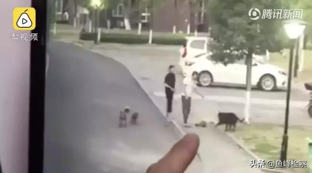 遛狗不牵绳又惹祸！男子遭狗撕咬*体下**被缝30多针……视频触目惊心