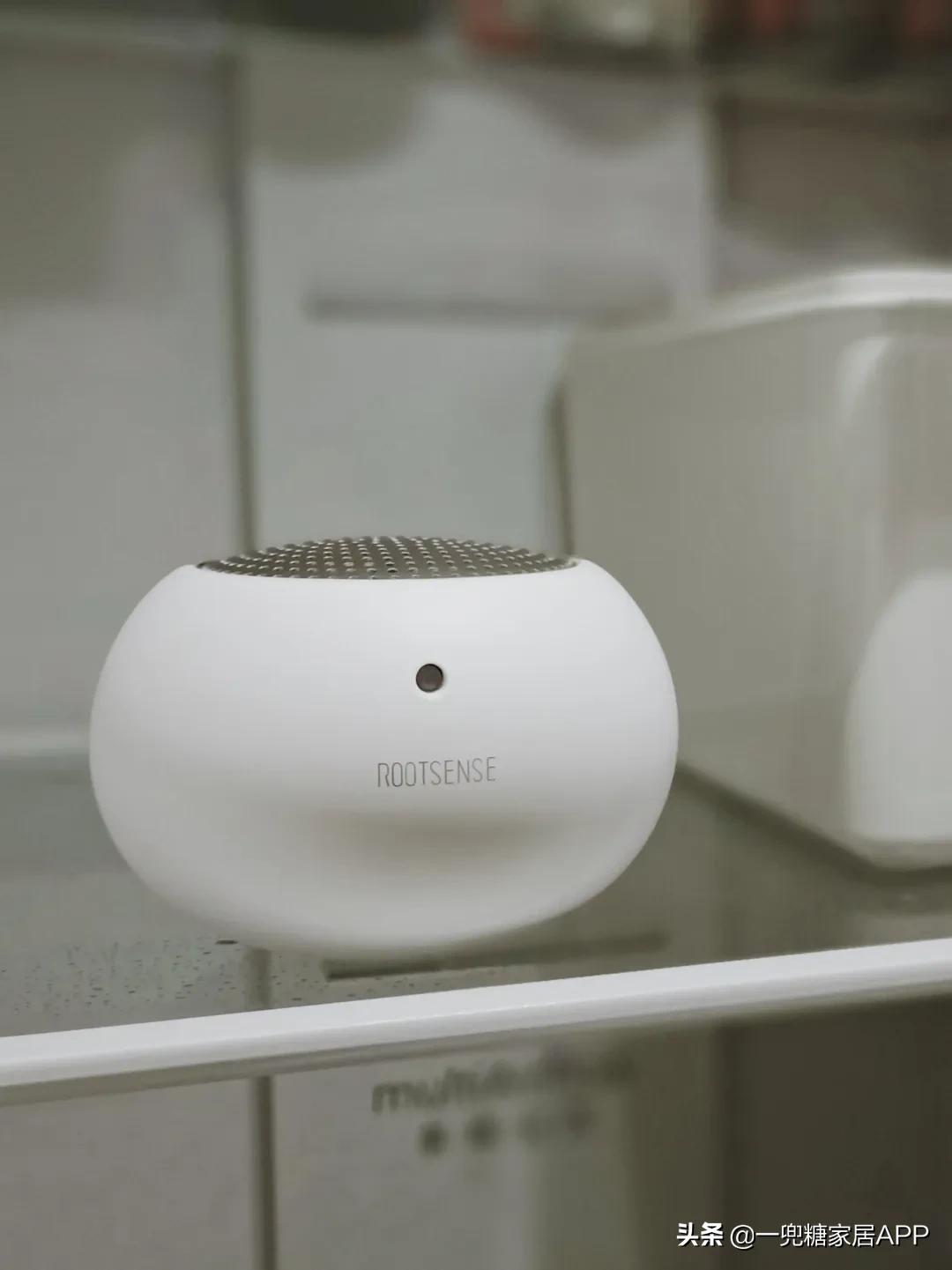 春节必备的十件家居好物,十个必备的家居好物