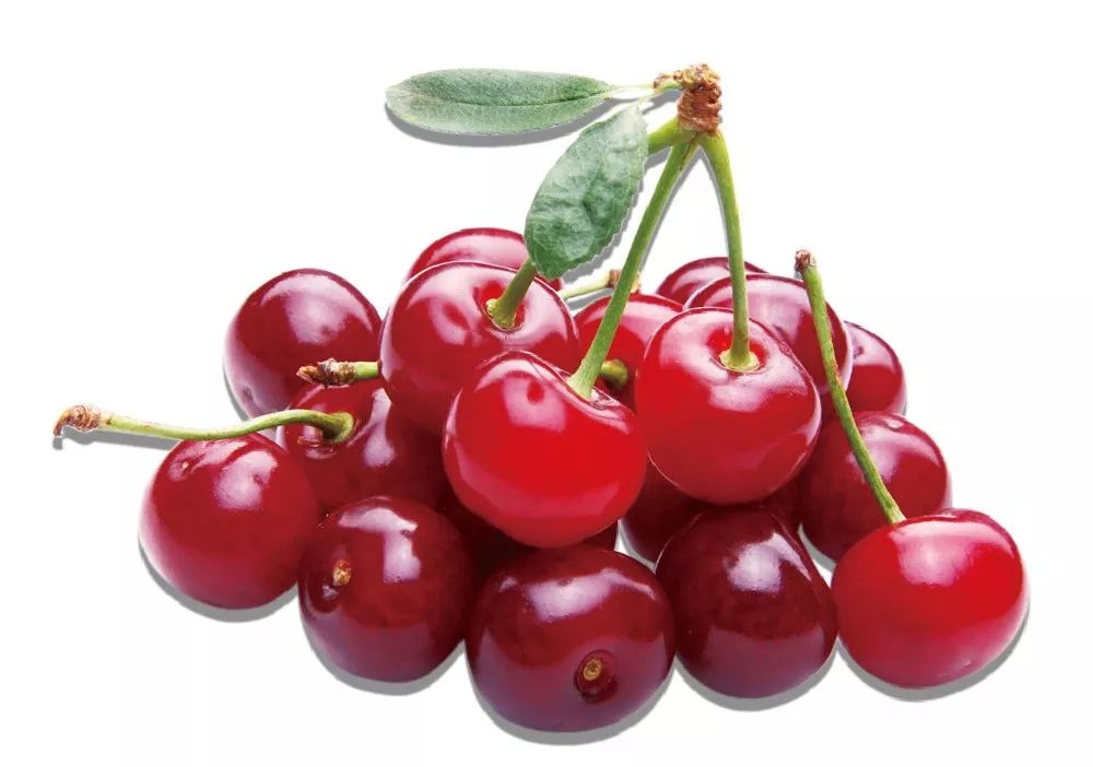 谷雨茶的食材有哪些,谷雨节气适合的养生茶