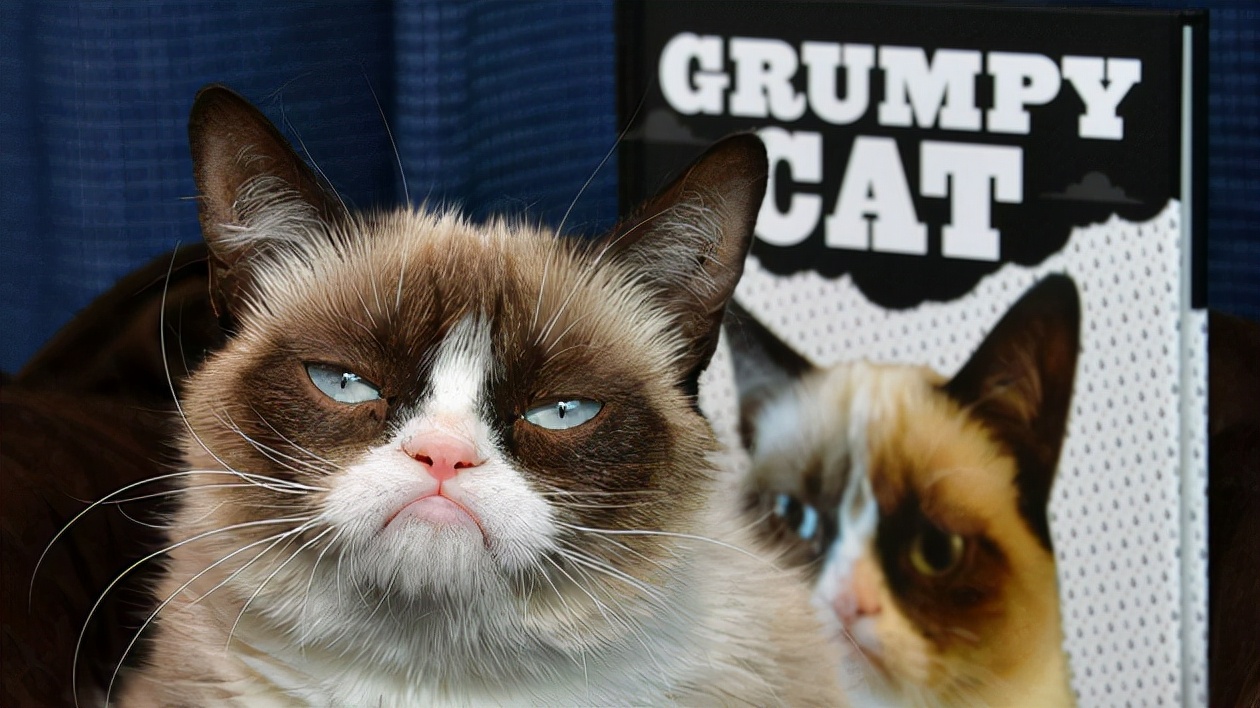 最昂贵的动物,世界上最昂贵的十种动物有哪些