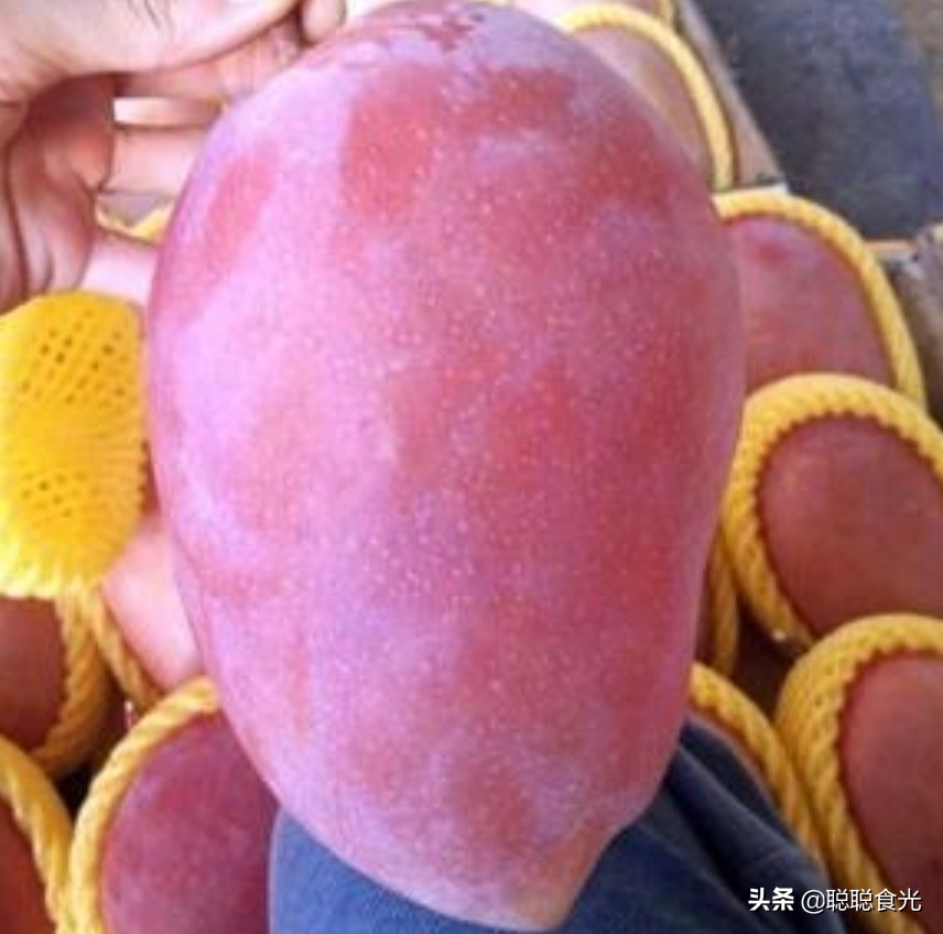 澳芒贵妃芒青芒金煌芒哪种芒果好,芒果哪种好贵妃芒和小台芒哪个好