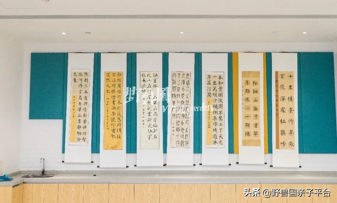 一年20万学费的清澜山学校,都在学些什么?