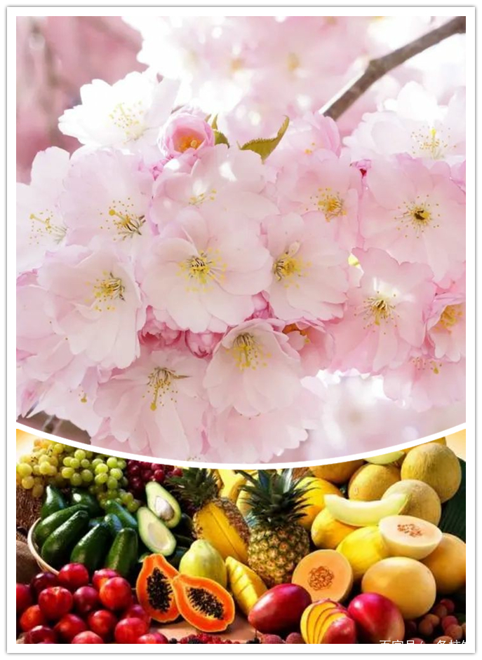 入门买什么香水比较好,入门名牌香水