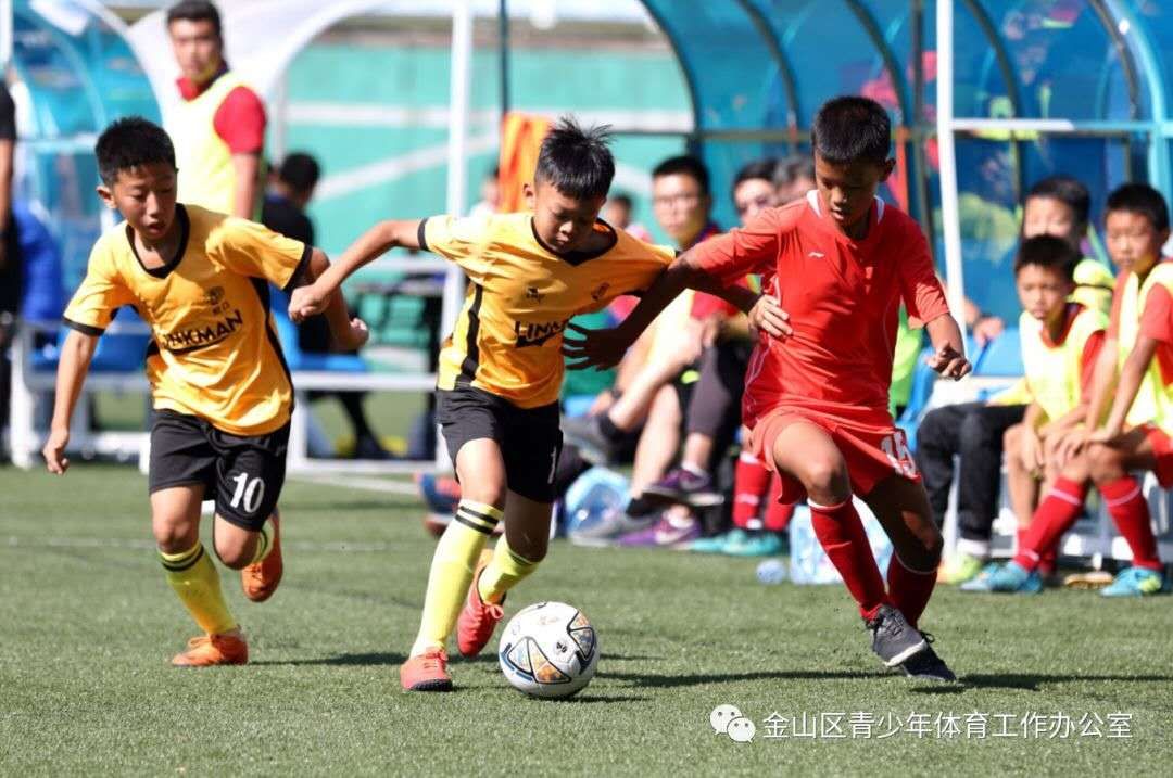 嘉定区青少年足球训练,朝阳区青少年足球训练