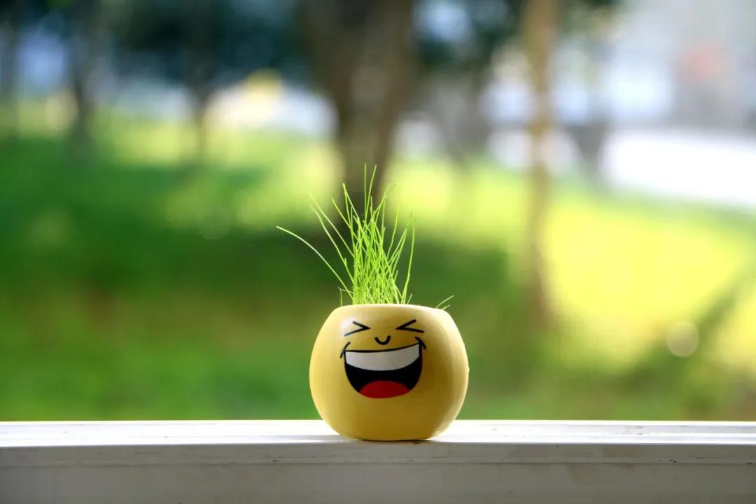 把睡眠彻底弄丢了,把丢失的睡眠找回来